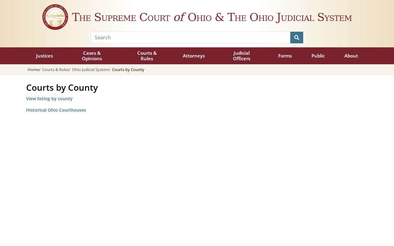 Stark County docket search reference to Ohio trial court directory